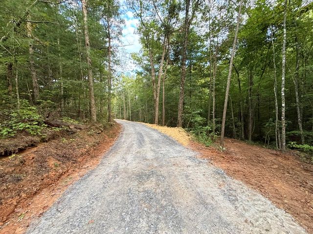 396 Mt. Springer Road, Ellijay, GA 30540