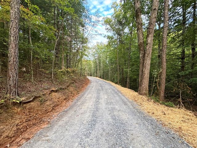 396 Mt. Springer Road, Ellijay, GA 30540