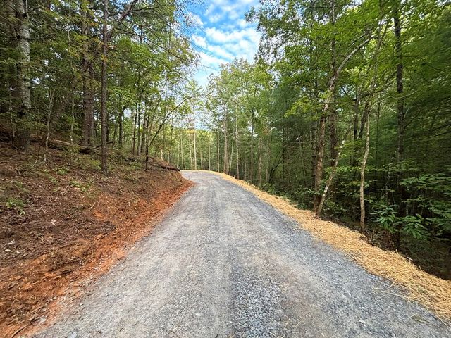 396 Mt. Springer Road, Ellijay, GA 30540