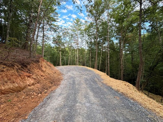 396 Mt. Springer Road, Ellijay, GA 30540