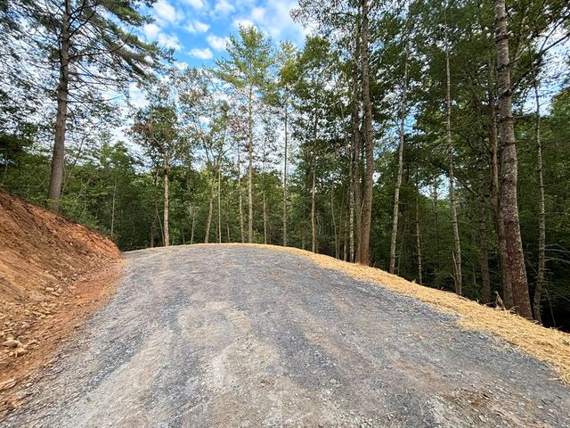 396 Mt. Springer Road, Ellijay, GA 30540