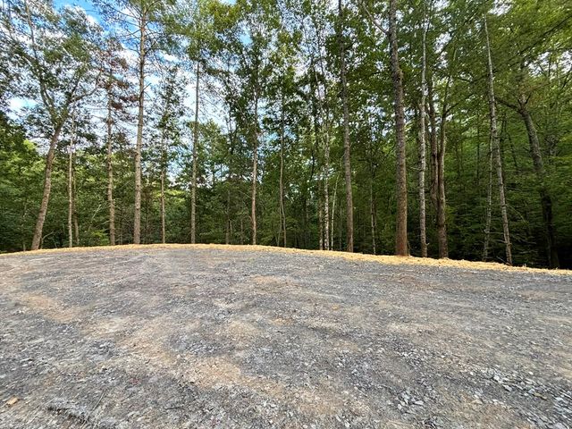 396 Mt. Springer Road, Ellijay, GA 30540