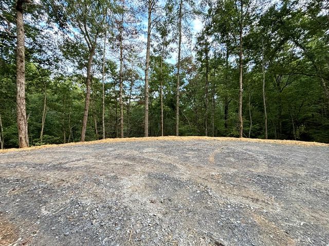 396 Mt. Springer Road, Ellijay, GA 30540
