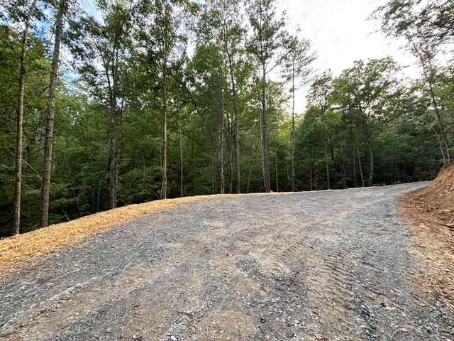 396 Mt. Springer Road, Ellijay, GA 30540