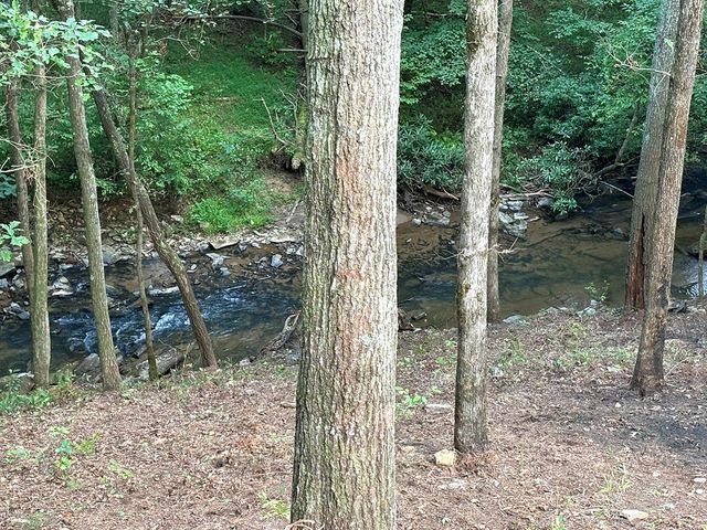 396 Mt. Springer Road, Ellijay, GA 30540