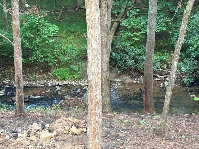 396 Mt. Springer Road, Ellijay, GA 30540