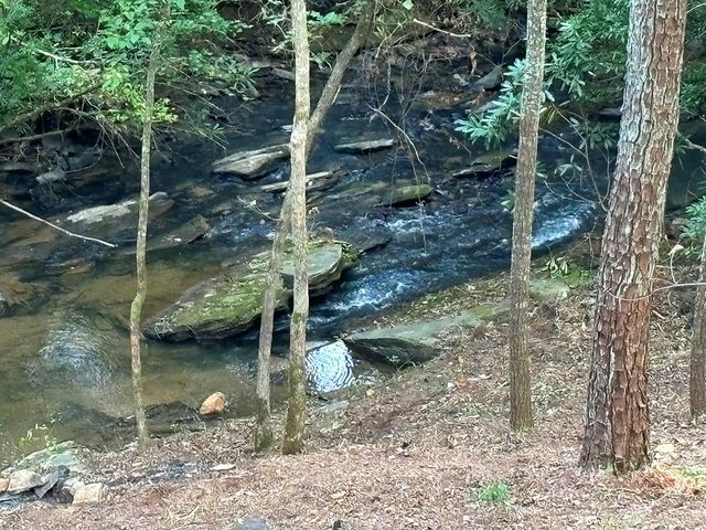 396 Mt. Springer Road, Ellijay, GA 30540