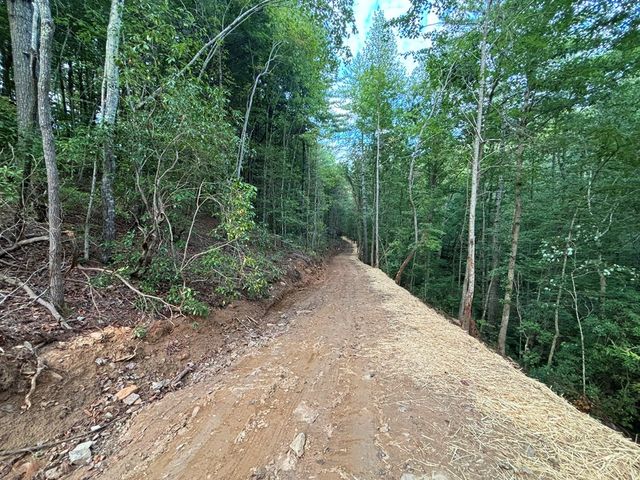 396 Mt. Springer Road, Ellijay, GA 30540