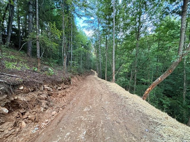396 Mt. Springer Road, Ellijay, GA 30540