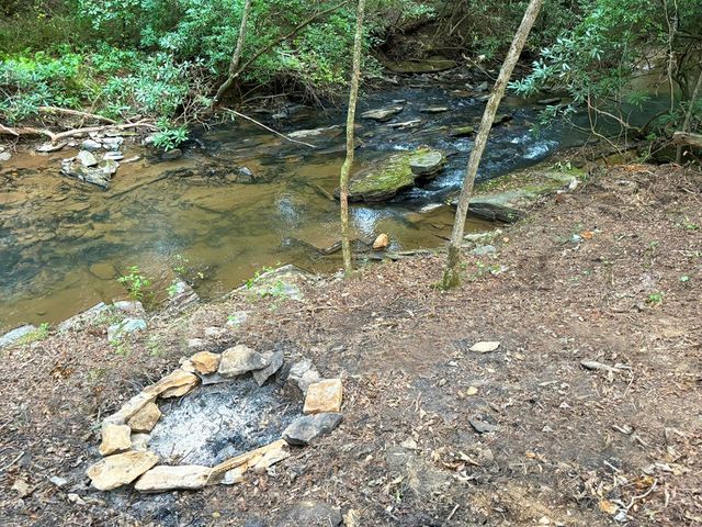 396 Mt. Springer Road, Ellijay, GA 30540