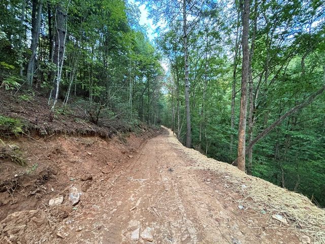 396 Mt. Springer Road, Ellijay, GA 30540