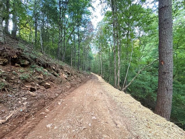 396 Mt. Springer Road, Ellijay, GA 30540