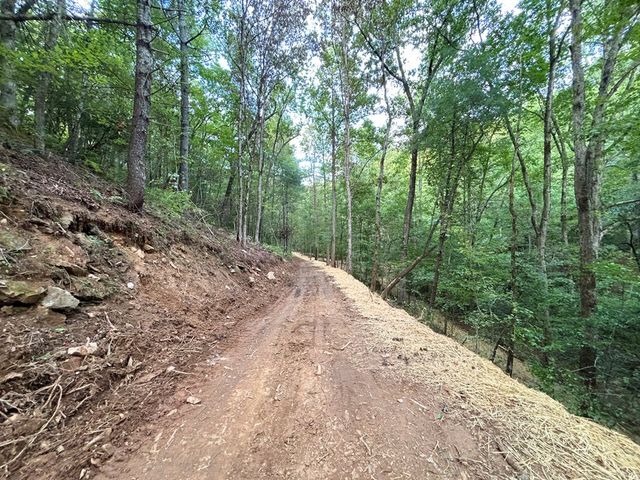 396 Mt. Springer Road, Ellijay, GA 30540