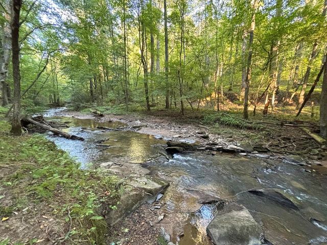 396 Mt. Springer Road, Ellijay, GA 30540