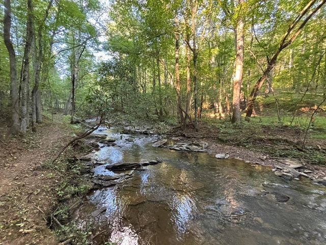 396 Mt. Springer Road, Ellijay, GA 30540