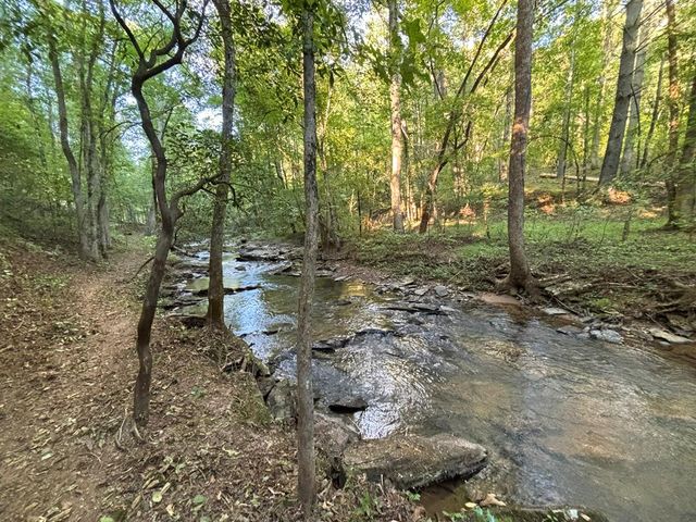396 Mt. Springer Road, Ellijay, GA 30540