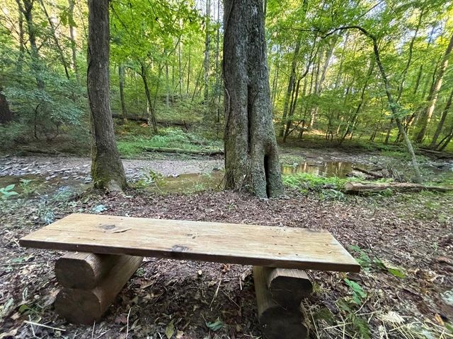 396 Mt. Springer Road, Ellijay, GA 30540