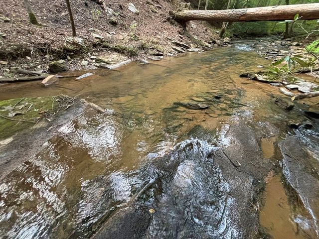 396 Mt. Springer Road, Ellijay, GA 30540