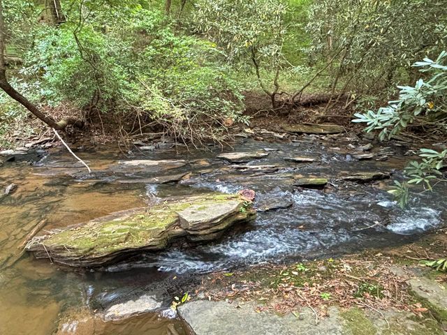 396 Mt. Springer Road, Ellijay, GA 30540