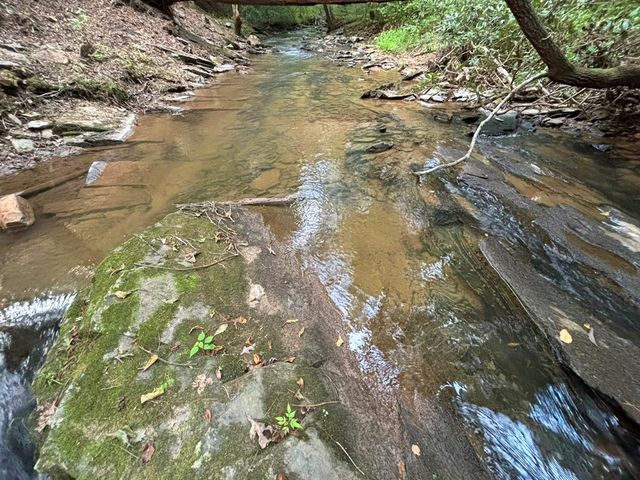 396 Mt. Springer Road, Ellijay, GA 30540