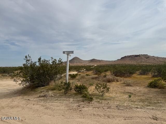 3350 Gillman Avenue, Rosamond, CA 93560