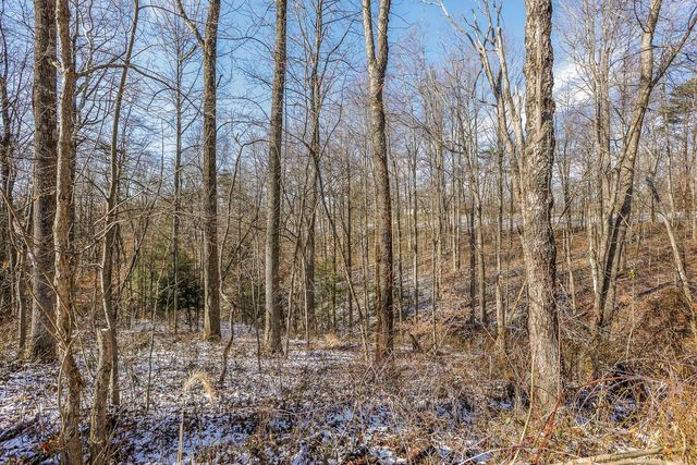 20731 State Route 664 S, South Bloomingville, OH 43152