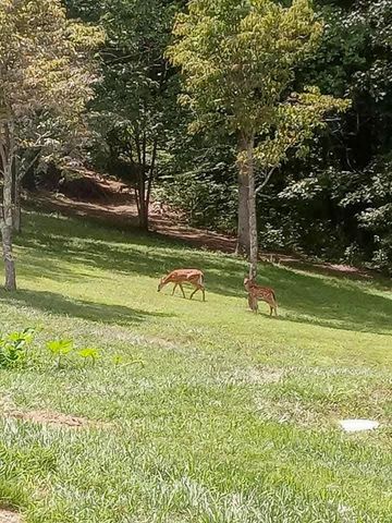 20731 State Route 664 S, South Bloomingville, OH 43152