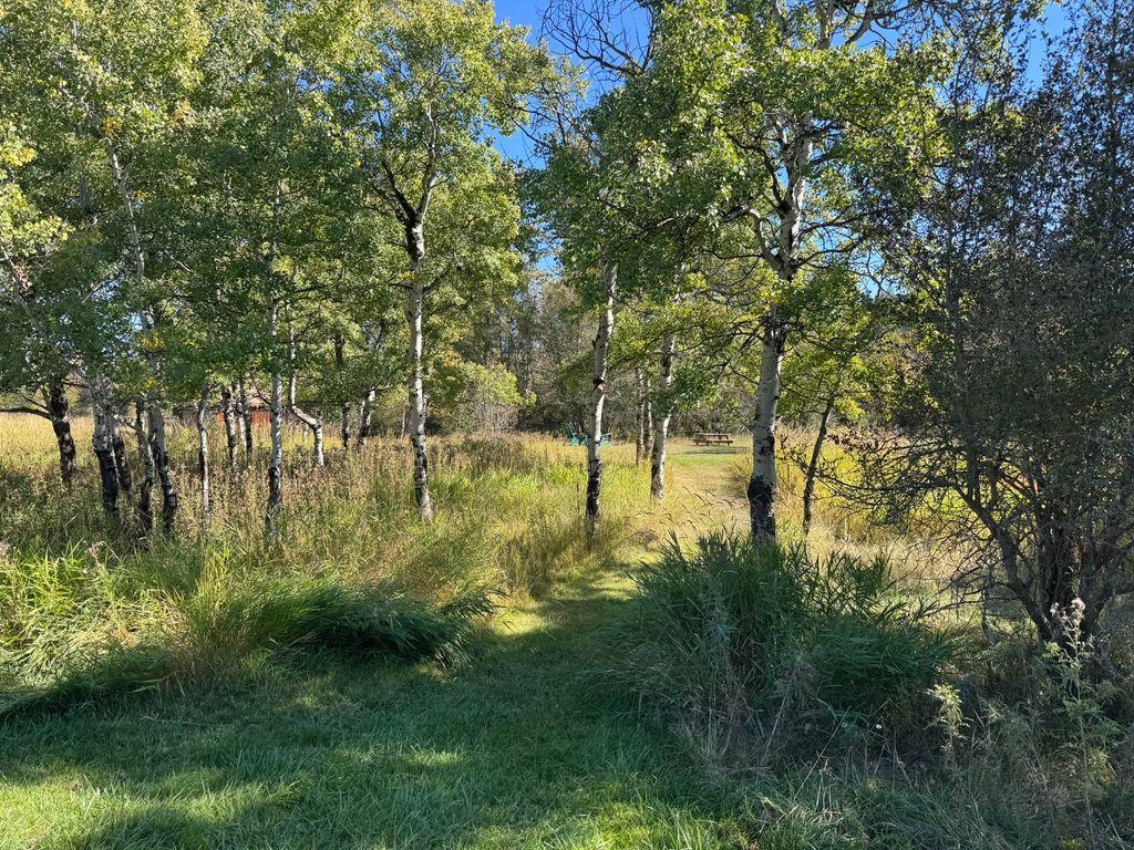 635 Sweathouse Creek Road, Victor, MT 59875 photo 76