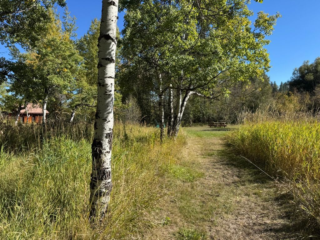 635 Sweathouse Creek Road, Victor, MT 59875 photo 77