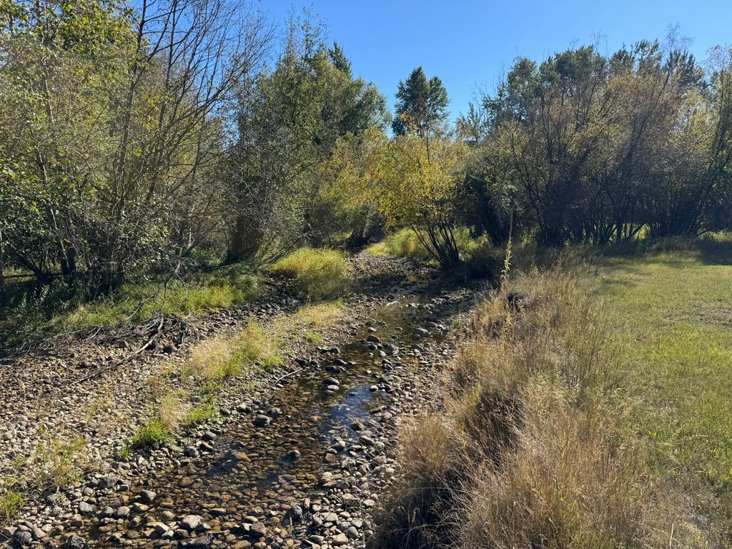 635 Sweathouse Creek Road, Victor, MT 59875 photo 79