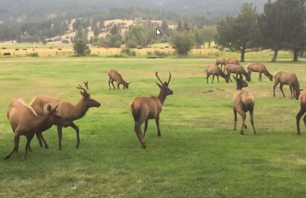 635 Sweathouse Creek Road, Victor, MT 59875 photo 84