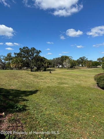 9100 Highpoint Boulevard, Brooksville, FL 34613