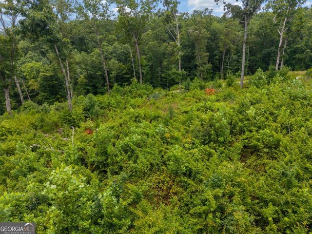 LOT 84 Jakes Landing Way, Ellijay, GA 30540