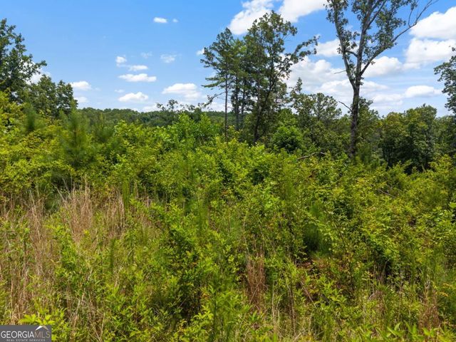 LOT 84 Jakes Landing Way, Ellijay, GA 30540