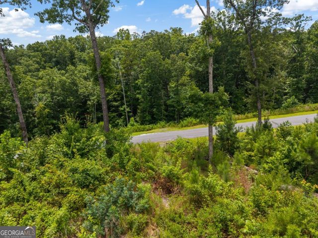 LOT 84 Jakes Landing Way, Ellijay, GA 30540