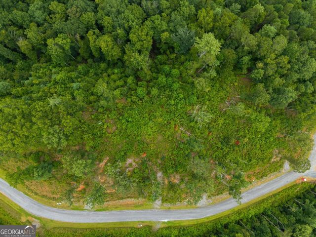 LOT 84 Jakes Landing Way, Ellijay, GA 30540