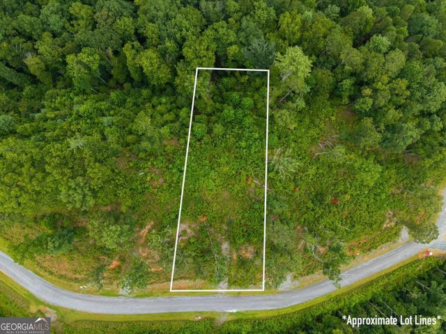LOT 84 Jakes Landing Way, Ellijay, GA 30540