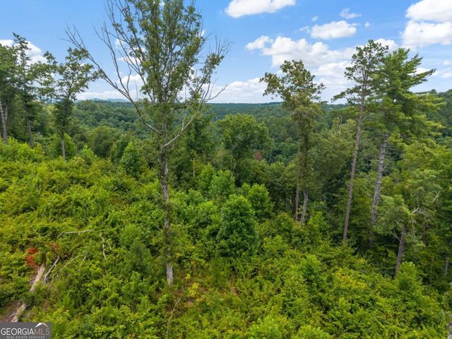 LOT 84 Jakes Landing Way, Ellijay, GA 30540