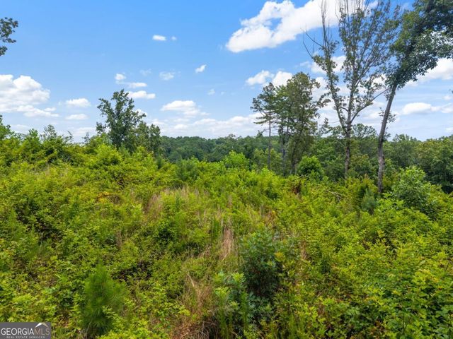 LOT 84 Jakes Landing Way, Ellijay, GA 30540