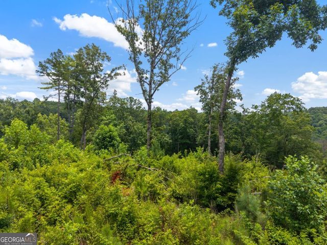 LOT 84 Jakes Landing Way, Ellijay, GA 30540
