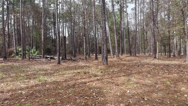 0 Wolf Bay Drive, Foley, AL 36535