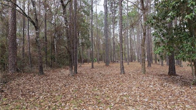 0 Wolf Bay Drive, Foley, AL 36535
