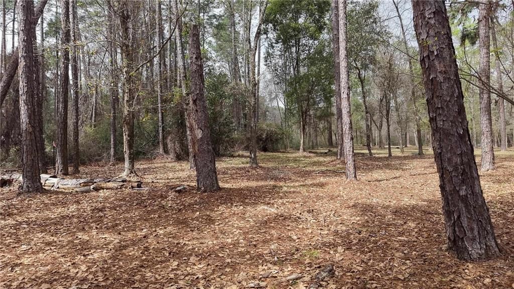 0 Wolf Bay Drive, Foley, AL 36535 — photo 4
