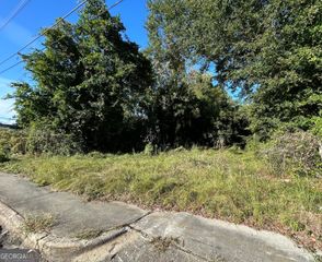 734 Fort Hill Street, Macon, GA 31217