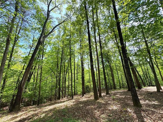 931 Homer Edwards Road, Dahlonega, GA 30533