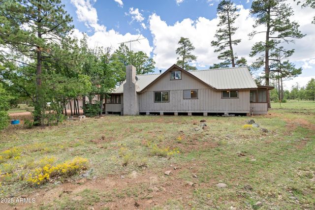 6860 BUCKHORN Road, Happy Jack, AZ 86024