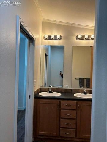 1141 Calm Mountain Point, Woodland Park, CO 80863