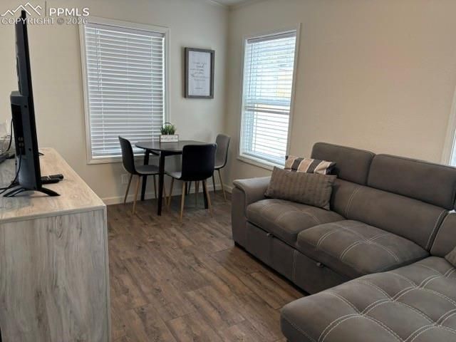 1141 Calm Mountain Point, Woodland Park, CO 80863