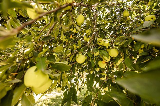 19031 SW Tawakoni Rd, Douglass, KS 67039