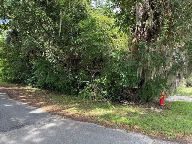 TBD AVENUE E, Mc Intosh, FL 32664